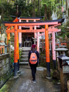 Hiking Mount Inari