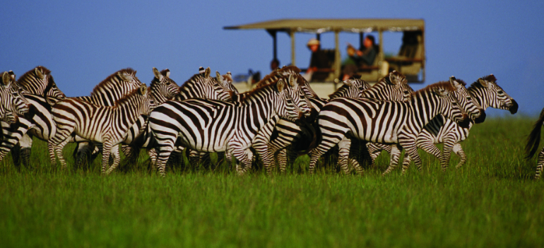 Benson Safaris Tanzania