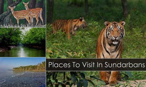 Sundarbans